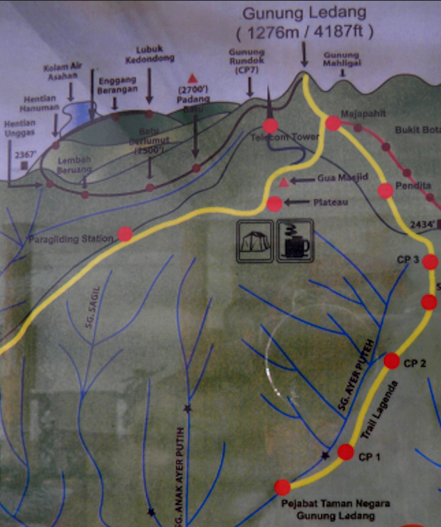 Map showing the hiking trails up Mt. Ophir. Wallace would have taken the brown route.